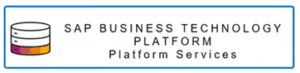 Rise vous donne accès à SAP Business Platform au travers d’un crédit de consommation (CPEA Cloud Platform Enterprise Agreement Credits)