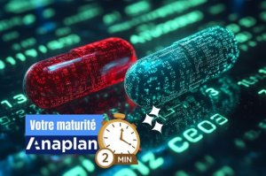 Test-MAturité-Anaplan